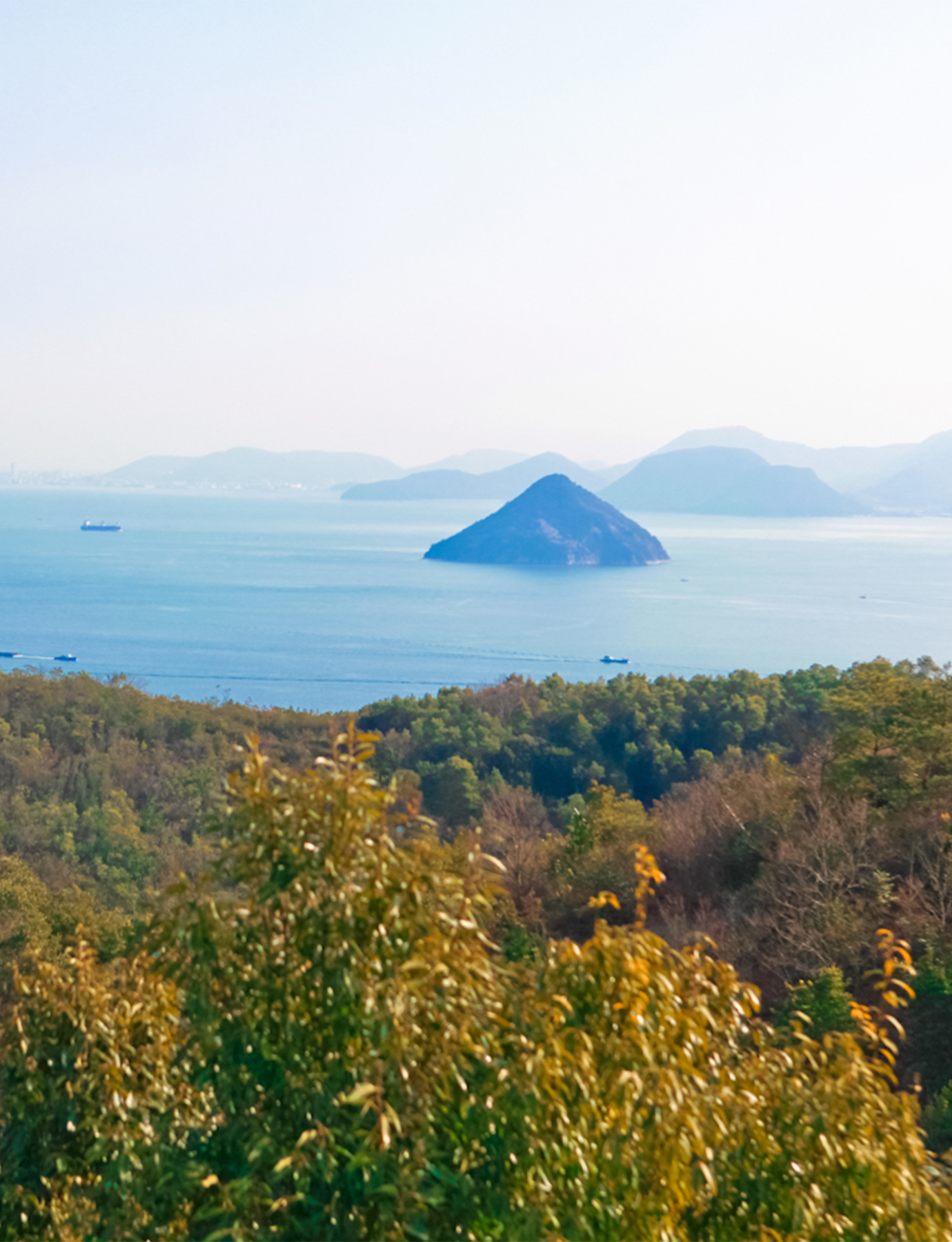 Domingo（ドミンゴ）公式オンラインショップ